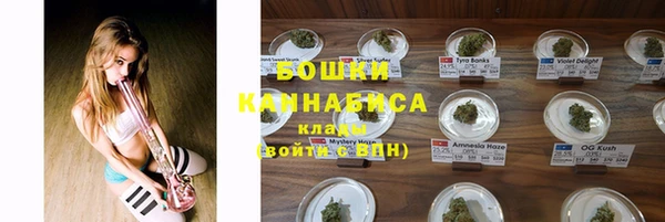 spice Верея