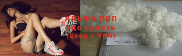 spice Верея