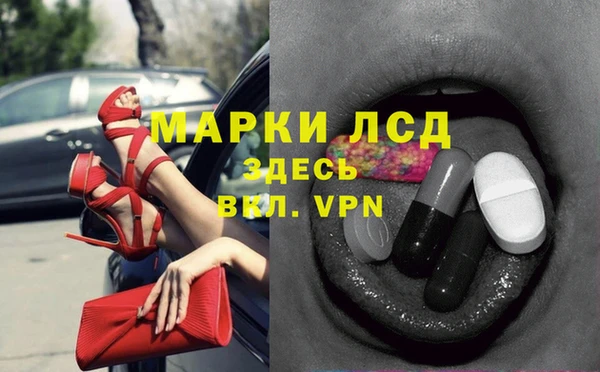 spice Верея