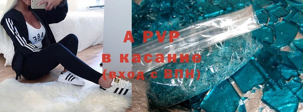 spice Верея